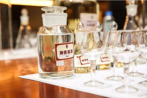 亲历顺品郎战略发布,那些现场发生的故事 酒说观察