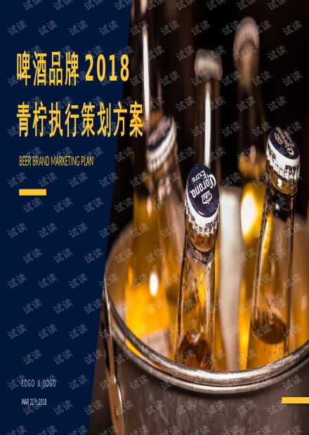 酒水饮料食品啤酒品牌青柠路演文娱活动执行策划方案.pptx资源 csdn文库