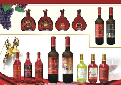 品鉴时光 探索红酒的优雅世界